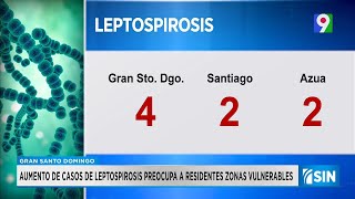 Casos de Leptospirosis van en aumento  Primera Emisión SIN [upl. by Ney]