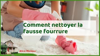 Fausse fourrure comme neuve  conseils pour un nettoyage doux et efficace [upl. by Namus]