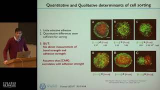 Mécanique de la morphogenèse 3  Thomas Lecuit 20172018 [upl. by Royd]