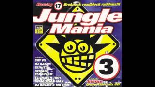 Jungle Mania 3 1995 Grooveriders quotDeep In The Junglequot Mix Telstar Records [upl. by Enillebyam619]