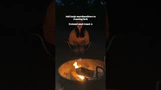 Easy Camping Smores That Perfect Roast With UCOs Roasting Forks [upl. by Slohcin]