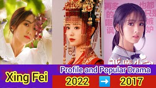 Xing Fei 邢菲 Profile and Popular Drama List 20222017 [upl. by Sparhawk]