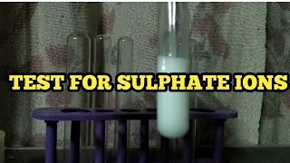 Test for Sulphate ions [upl. by Aleda673]