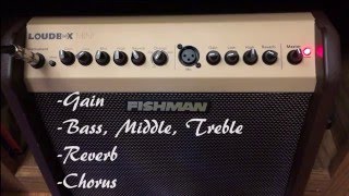 Fishman Loudbox Mini Demo [upl. by Narda119]