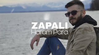 Haram Para ► ZAPALI ◄ Official Audio quot2021 Cover [upl. by Yaned]