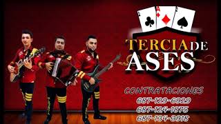 grupo tercia de ases te vas [upl. by Akeirahs]