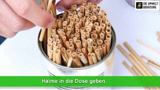 Do it yourself DosenNisthilfe für Wildbienen [upl. by Mimajneb]