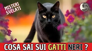 Scopri i 9 Segreti dei Gatti Neri in Solo 5 Minuti [upl. by Christmann524]