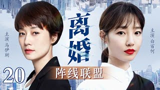 【都市电视剧】离婚阵线联盟 20  马伊琍白百合联手撕渣男，打赢最艰难的离婚官司（马伊琍白百合） [upl. by Tung761]