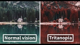 Here’s How Colorblind People With Tritanopia See The World [upl. by Babbette]