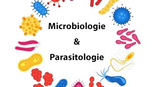 Parasitologie  Cours microbiologie parasitologie  IFCSISPITS [upl. by Azriel]