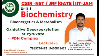 Oxidative Decarboxylation of Pyruvate  PDH Complex  Metabolism  Biochemistry [upl. by Rolph]