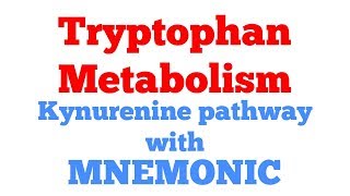 Tryptophan metabolism with Mnemonic  Kynurenine anthranilic acid pathway  Biochemistry [upl. by Nedah119]