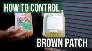 How to Control Brown Patch Fungus with Honor Guard PPZ Fungicide Propiconazole [upl. by Wivina732]