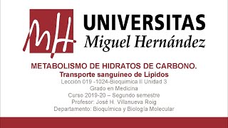 Lecc 019 Transporte Sanguíneo de Lípidos Umh 1024 201920 [upl. by Carie]