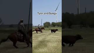 Who Had The Best Loop roping cows cowboy [upl. by Yornek320]