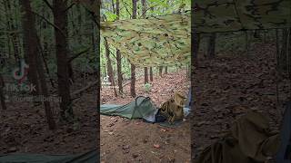 Calm Before The Storm Rainy Bivy Camp camping outdoors bushcraft raincamping [upl. by Toy]