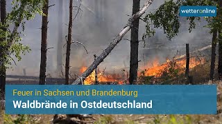 Vermehrt Waldbrände  Schwierige Löscharbeiten in Brandenburg [upl. by Agathy]