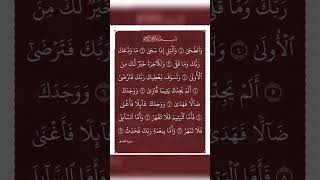 SurahAlduha  سورۃ الضحیٰ mohammedﷺ  Egzonibrahimib  allahhuakbar  qurantilawat  shortvideo [upl. by Einner412]