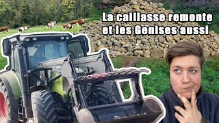 ramassage des pierres après semis de céréales remonter les génisses pour les échographies [upl. by Name]