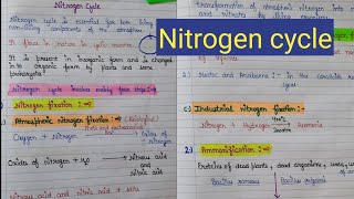 Nitrogen cycle  nitrogen fixation  what is nitrogen cycle [upl. by Enilram804]