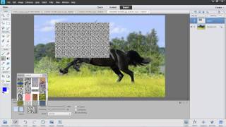 Fill and Patterns in Photoshop Elements 11 [upl. by Whitelaw]