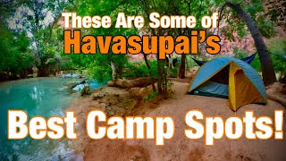 Havasupai  CAMPGROUND Walkthrough the Most Beautiful Campsite EVER [upl. by Grega]