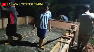 BUDIDAYA LOBSTER AIR TAWAR II PEMBANGUNAN KOLAM BARU [upl. by Atiekram683]