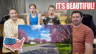 New Zealand Family React to 6 Happily Surprising Things About Living in America MOVING THERE SOON [upl. by Anidualc]