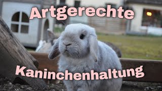 Artgerechte Kaninchenhaltung 🐰 [upl. by Hanny]