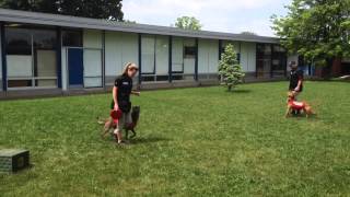 Walkersville Middle School Career Day [upl. by Treblihp]