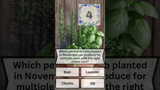 Plant This Herb once harvest forever shrots gardeningshorts beginnergardener herbs [upl. by Ruyle634]