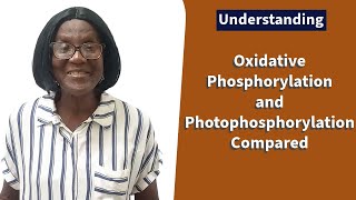 Oxidative Phosphorylation and Photophosphorylation Compared [upl. by Ahserak]