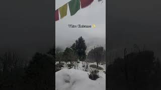 Snowflakes are falling Christmas is calling ❄️🧑‍🎄 viralvideo trending india skincare [upl. by Notnerb64]