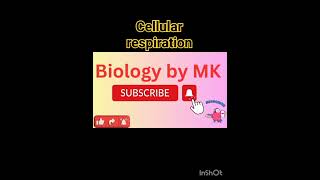 Cellular respiration Cellular Respiration UPDATED ATP amp Respiration Crash Course Biology 7 [upl. by Wiskind]