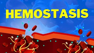 Hemostasis  How We Stop Bleeding [upl. by Demah366]