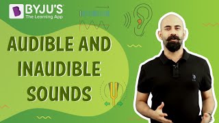 Audible and Inaudible Sounds  Characteristics of Infrasound Ultrasound and Audible Sound [upl. by Nyliuqcaj391]