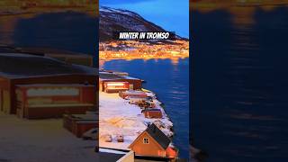 Christmas is coming winter in Tromso Norway christmas lastchristmas norway northernlights [upl. by Chaudoin]