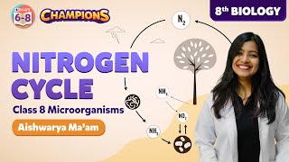 Nitrogen Cycle Class 8 Science  Microorganisms Friend amp Foe Concepts  BYJUS  Class 8 [upl. by Odranoel]