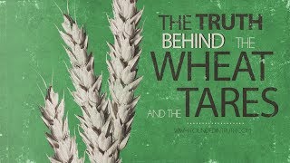 The Parable Series The Truth Behind The Wheat and the Tares • Founded In Truth Ministries [upl. by Ssyla]