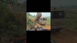 Extreme Dangerous Fastest Big Chainsaw Cutting Tree Machines  Monster Stump Removal Excavator [upl. by Fania]