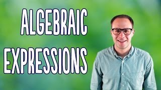 Algebraic Expressions Basics [upl. by Razaele]