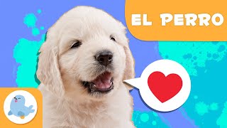 EL PERRO 🐶 Animales para niños 🏡 Episodio 15 [upl. by Aniluap]