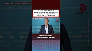 gegenpol shorts weidel ampel cdu fdp brandmauer berlin politik geopolitik news youtube [upl. by Retha329]