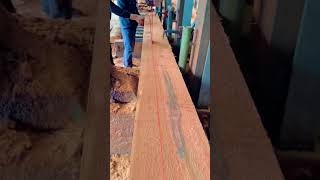 Caw shorts woodworkingart woodshop shortsvideo wood automobile woodworking tree power saw [upl. by Yumuk]