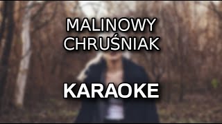 Daria Zawiałow  Malinowy chruśniak karaokeinstrumental  Polinstrumentalista [upl. by Rozele381]