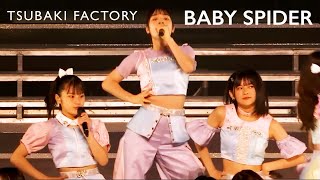 Tsubaki Factory  BABY SPIDER [upl. by Hacim]