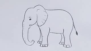 how to draw elephant drawing easy step by stepDrawingTalent [upl. by Inaja]