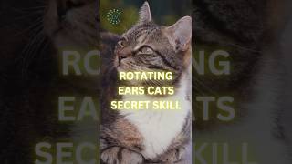 Rotating Ears Cats’ Secret Skill CatFacts FelineFun CatLovers AmazingCats petscience cat [upl. by Coriss]