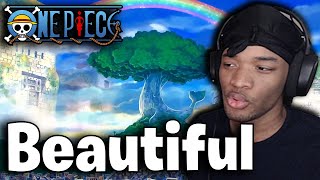 The Most Beautiful World in Anime  The Breathtaking World Of One Piece Reaction [upl. by Doss]